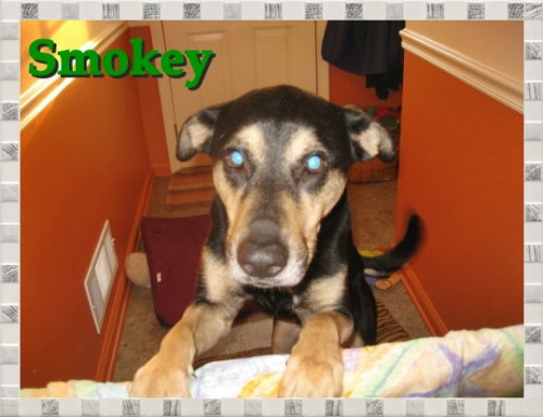 Smokey