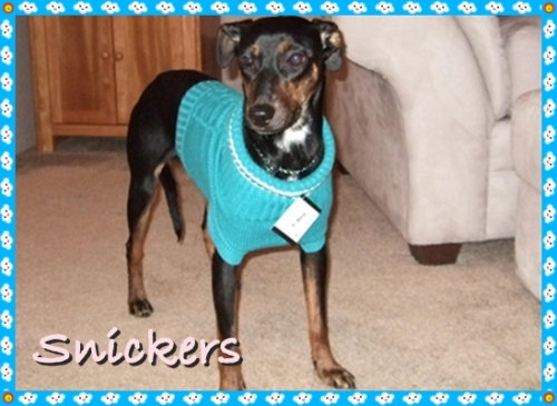 Snickers