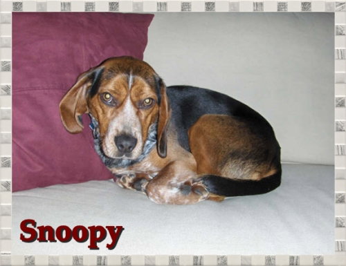 Snoopy