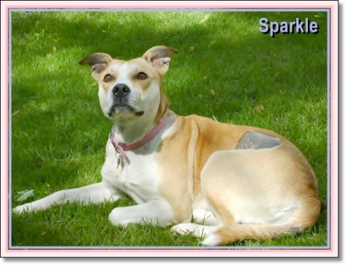 Sparkle