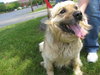 Sunny - ADOPTED 08.14.09