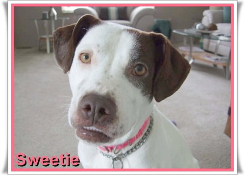 Sweetie