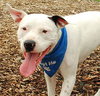 Sweety - ADOPTED 10.16.09