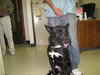 Tipper