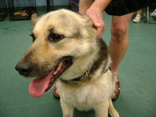 Trudy~PENDING