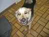 Trudy~PENDING