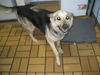 Trudy~PENDING