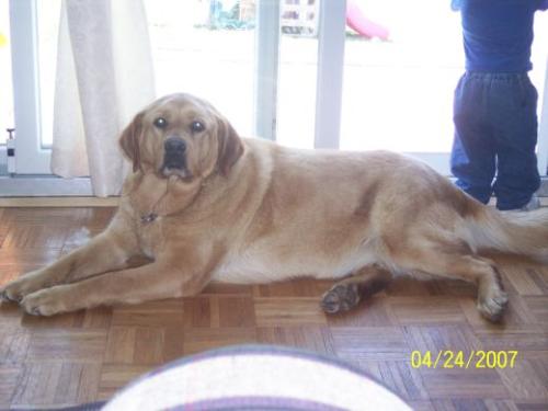 Tucker