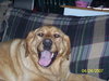 Tucker