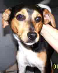 Drake - ADOPTED 10.14.09