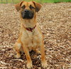 PRECIOUS - ADOPTED 07.15.09