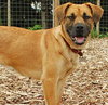 PRECIOUS - ADOPTED 07.15.09