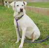 Sunnie - ADOPTED 11.22.09
