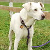 Sunnie - ADOPTED 11.22.09