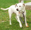 Sunnie - ADOPTED 11.22.09