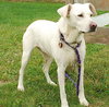 Sunnie - ADOPTED 11.22.09