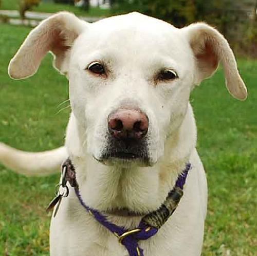Sunnie - ADOPTED 11.22.09
