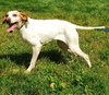 Mindy - ADOPTED 08.25.09
