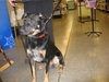 Frisbee - ADOPTED 01.16.10
