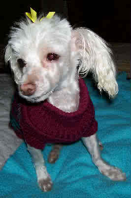 Meadow - ADOPTED 10.24.09