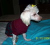Meadow - ADOPTED 10.24.09