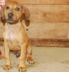 Porter - ADOPTED 08.12.09