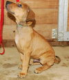 Porter - ADOPTED 08.12.09