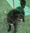 Midnite-ADOPTED
