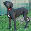 Mimsy - ADOPTED 10.14.09