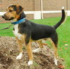 Toby - ADOPTED 09.30.09