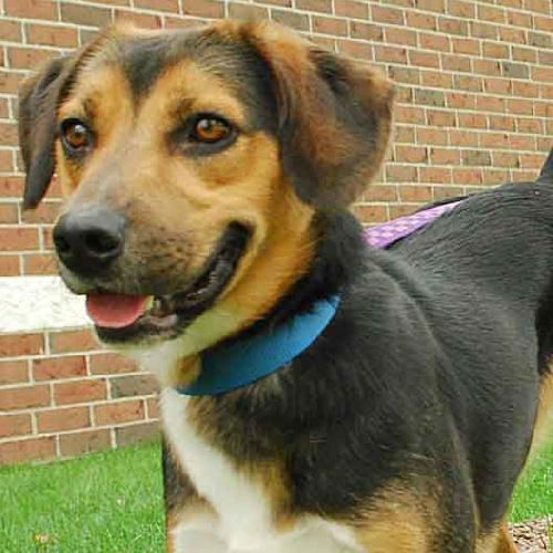 Toby - ADOPTED 09.30.09