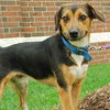 Toby - ADOPTED 09.30.09