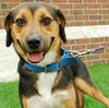 Toby - ADOPTED 09.30.09