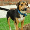 Toby - ADOPTED 09.30.09