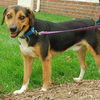 Toby - ADOPTED 09.30.09