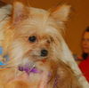Trudy - ADOPTED 08.28.09