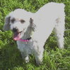 Sis - ADOPTED 09.04.09