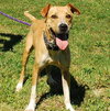 Flip - ADOPTED 12.09.09
