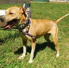 Flip - ADOPTED 12.09.09