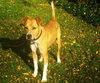 Flip - ADOPTED 12.09.09