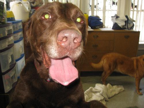 Thunder - ADOPTED 09.19.09