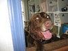 Thunder - ADOPTED 09.19.09