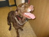 Thunder - ADOPTED 09.19.09