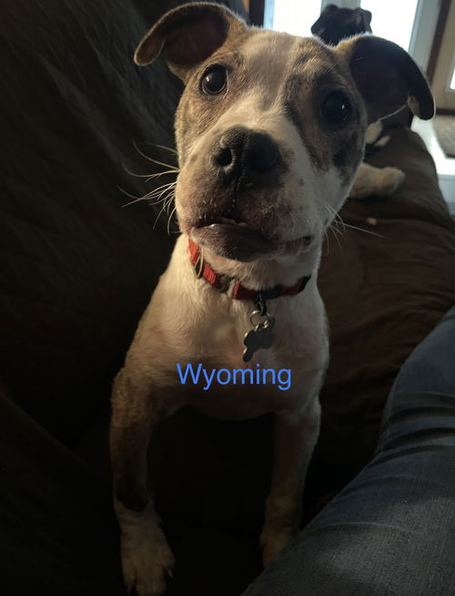 Wyoming - ADOPTED 04.09.22