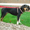 Tina - ADOPTED 10.08.09
