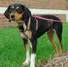 Tina - ADOPTED 10.08.09