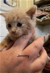 Ce Litter Jeremy - ADOPTED 09.18.22