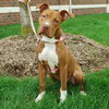 Morgan - ADOPTED 08.16.10