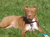 Morgan - ADOPTED 08.16.10