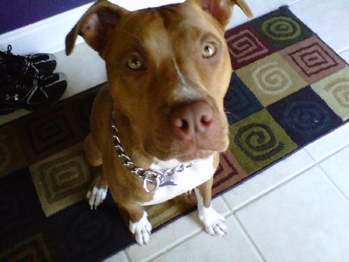 Morgan - ADOPTED 08.16.10